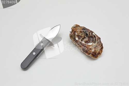 Image of Oyster and Knife