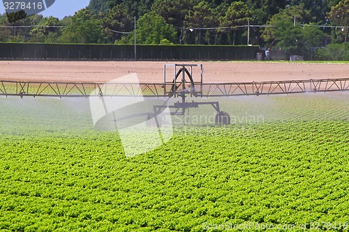 Image of Water irrigation sprinkler