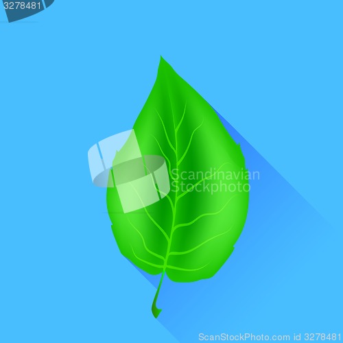 Image of Green Leaf