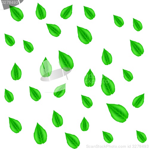 Image of Green Leaves Pattern