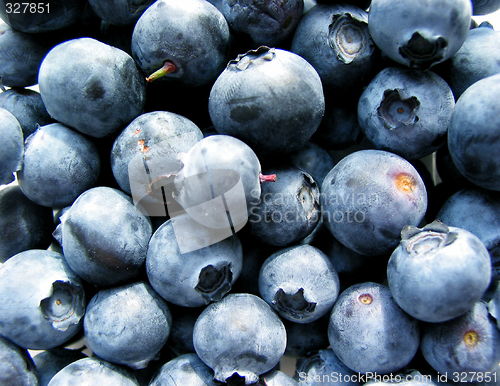 Image of Blueberries macro