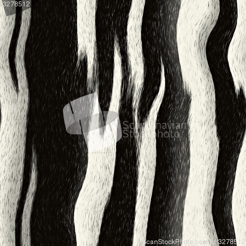 Image of Zebra Striped Pattern