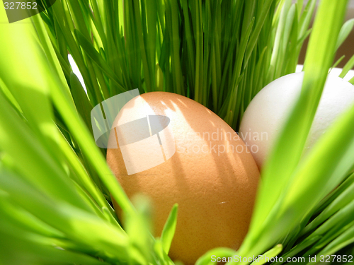 Image of Easter eggs in grass