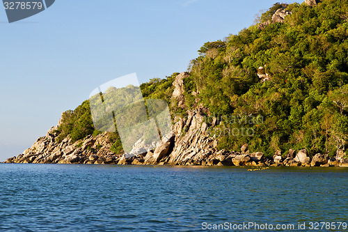 Image of stone in thailand kho tao bay    south china sea