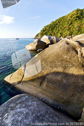 Image of stone in thailand kho tao bay abstract of a blue lagoon    south