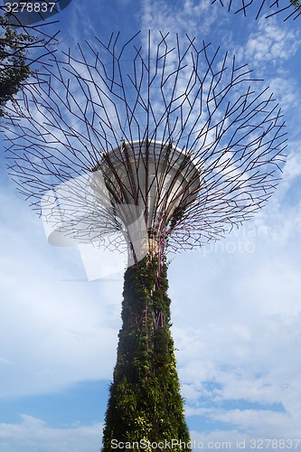 Image of Gardens by the Bay, Singapore