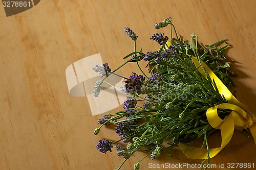 Image of fresh cut lavender bouquet