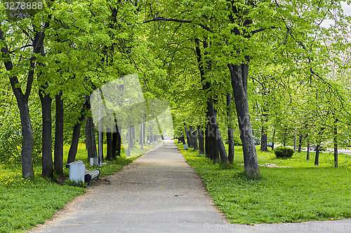 Image of Beautiful old park in the city