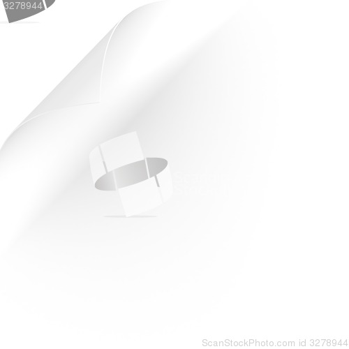 Image of White paper roll