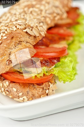 Image of Big sandwich 