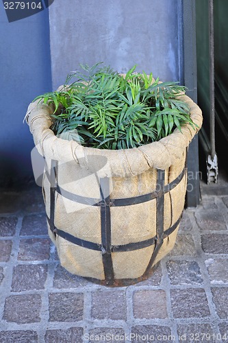 Image of Flower Pot