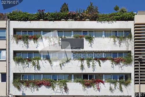 Image of Vertical Garden Building