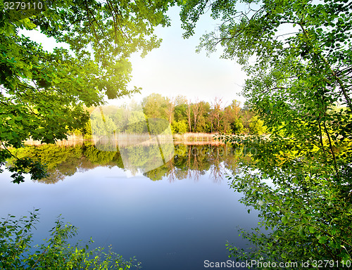 Image of Green trees by the river