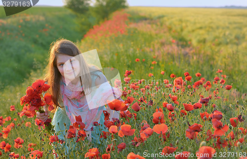Image of girl in poppy field