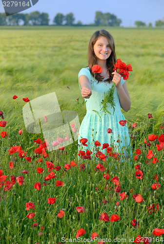 Image of girl in poppy field
