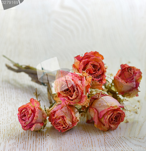 Image of Dry roses