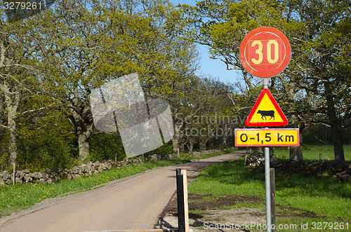 Image of Country road with road signs