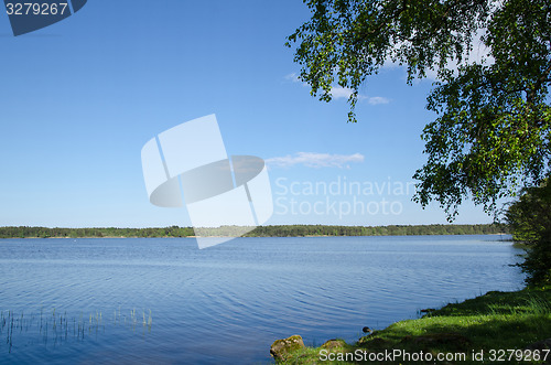 Image of Lake side view