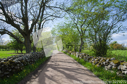 Image of Gravel road with mossy stone walls