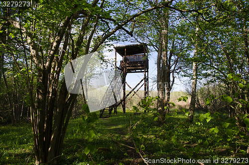 Image of Hidden bird watching tower