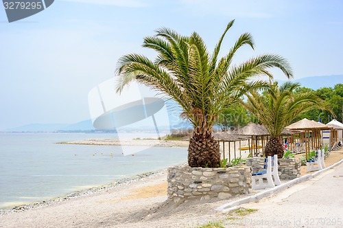 Image of Sea beach with Palm trees