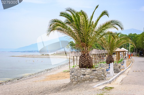 Image of Beach with Palm trees