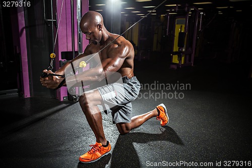 Image of Cable Wire Chest Fly Workout