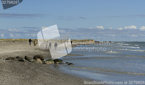 Image of Coastline