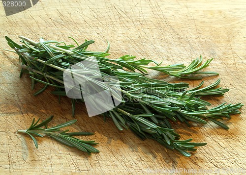 Image of Rosemary