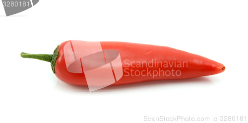 Image of Single baby red pepper