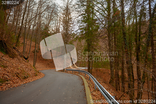 Image of Road in autumn forest landscape