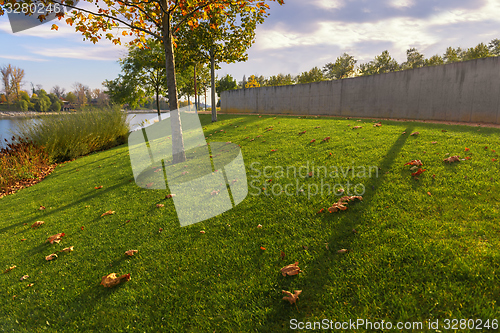 Image of Green lawn and trees at the park