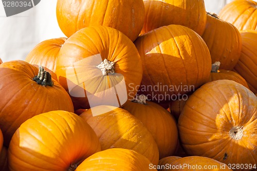 Image of Halloween big Halloween cucurbita pumpkin pumpkins from autumn h