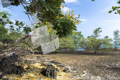 Image of Koh Mook Coast Line.