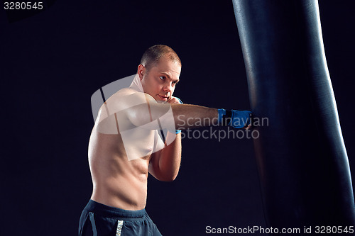 Image of Young Boxer boxing 