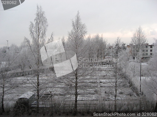 Image of Winterparselle