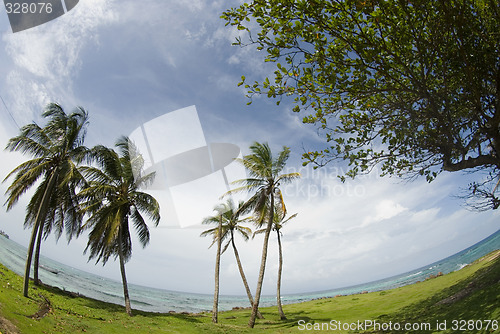 Image of  corn island north end beach fish-eye