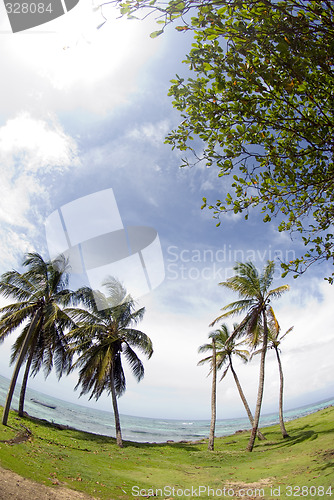 Image of corn island north end beach fish-eye