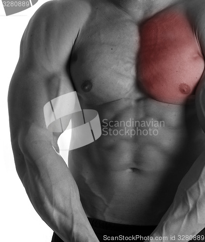 Image of bodybuilder