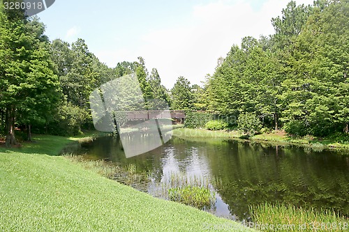 Image of Countryside