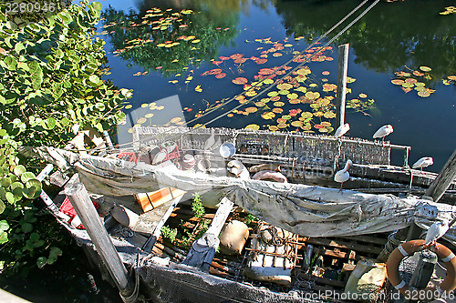 Image of Wild Boat