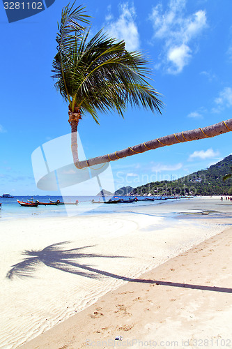 Image of  in  kho tao thailand bay asia isle   