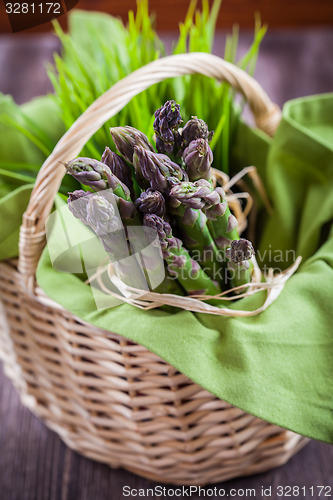 Image of Fresh green asparagus