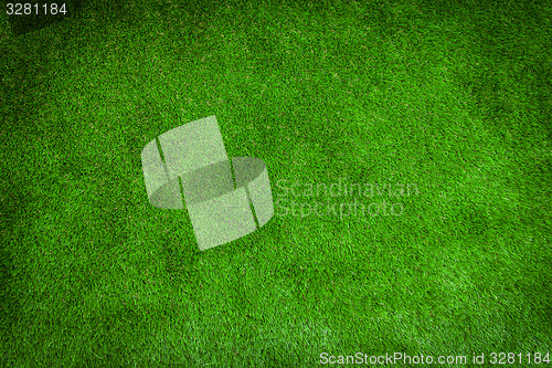 Image of Green lawn for background