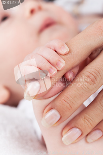 Image of Newborn hands holding mothers hand