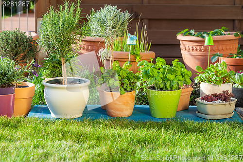 Image of Flower pots