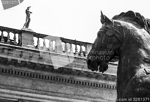 Image of The Bronze Horse