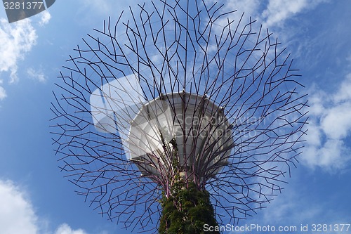 Image of Gardens by the Bay, Singapore