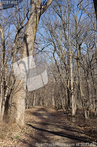 Image of Walking in a park