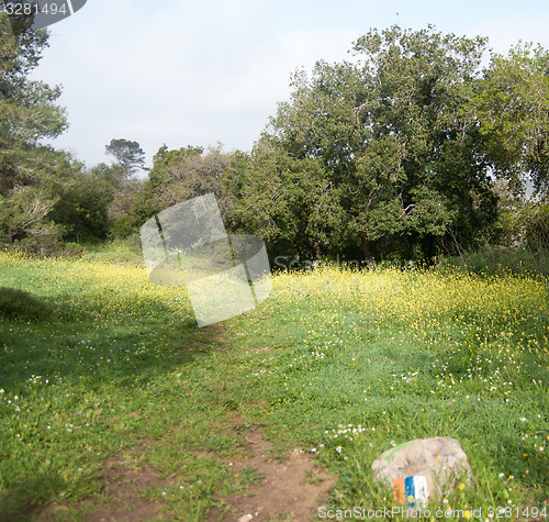 Image of Spring season landscape